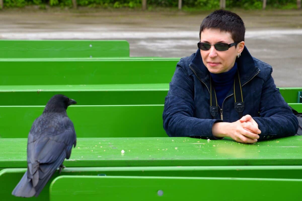 Can Crows Talk Like Parrots? (How Do They Communicate?)