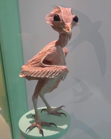 What Do Owls Really Look Like Without Feathers?