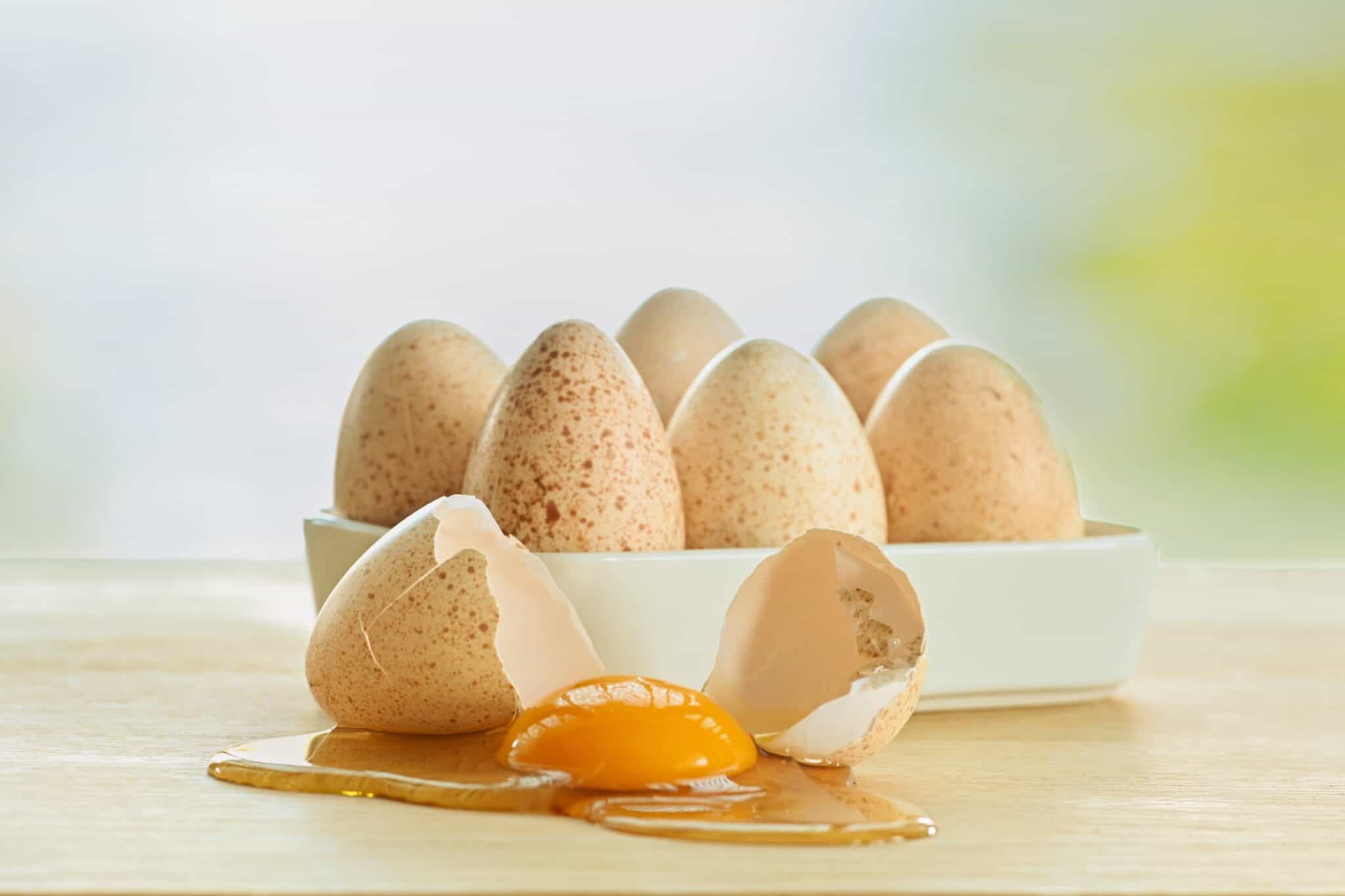 Turkey Eggs Vs Chicken Eggs What s The Difference turkey-eggs-vs-chicken-eggs-what-s-the-difference